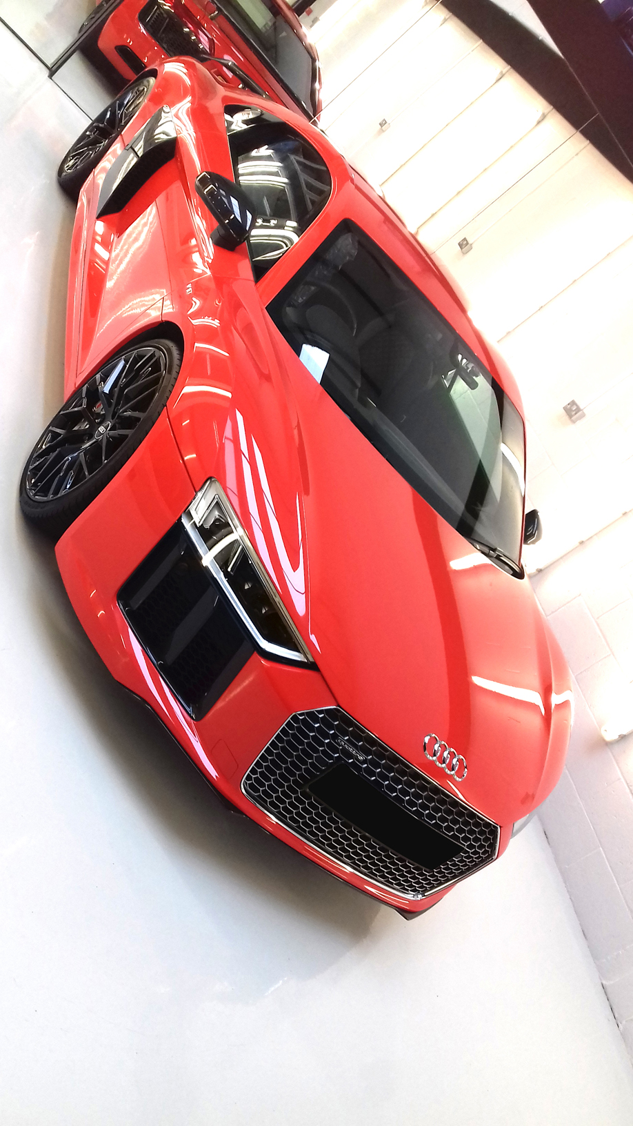 R8 PHOTO 6